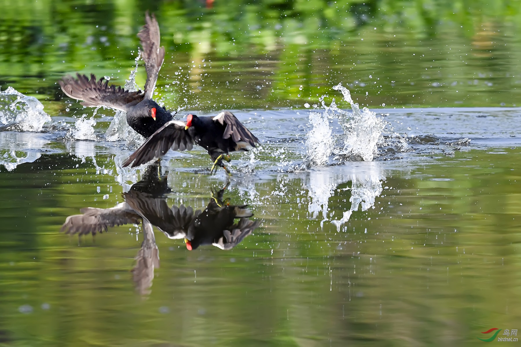 DSC_1812.jpg