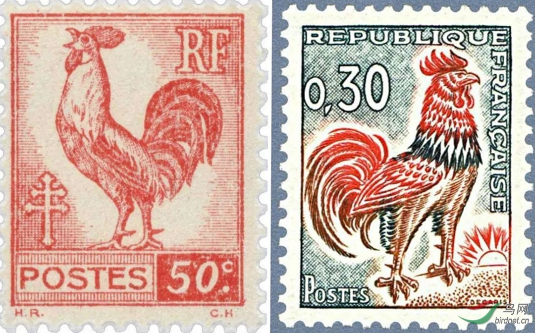 法国国宝高卢鸡图片