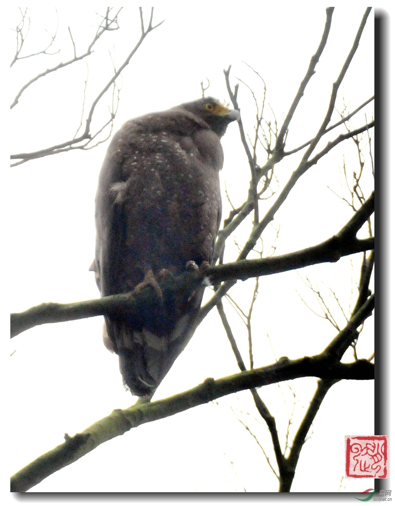 ��Ƭ 126_����_����.jpg