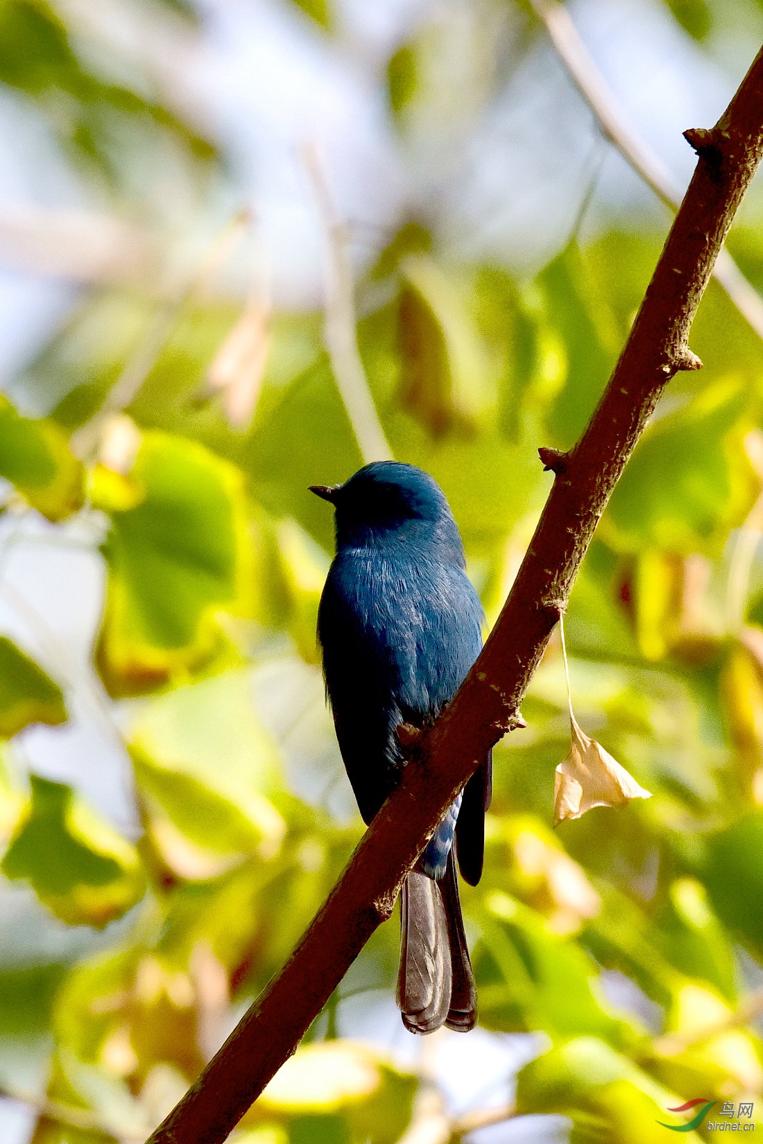 DSC_1087.JPG