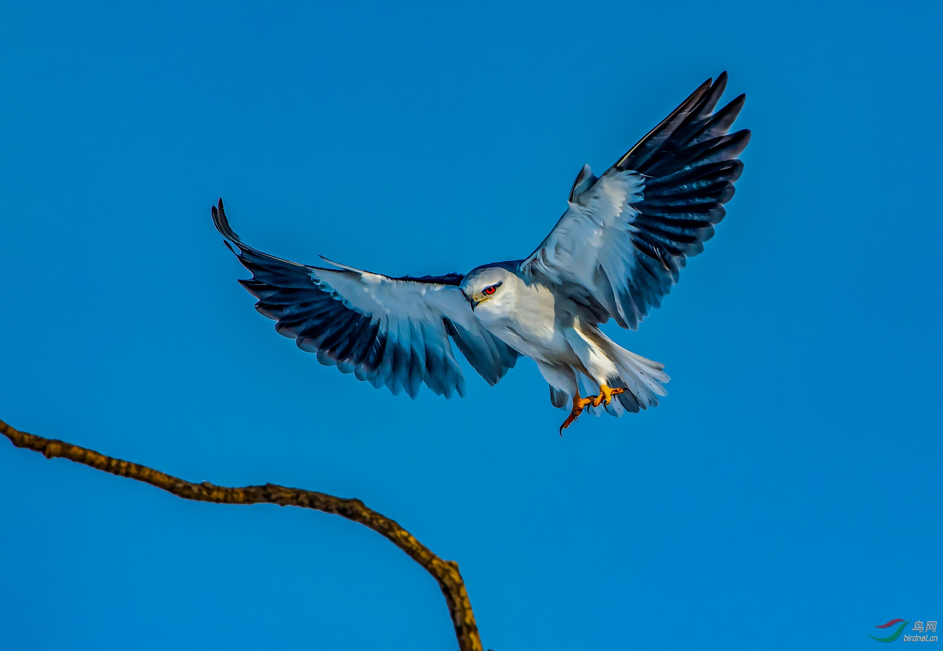 _DSC8214.jpg
