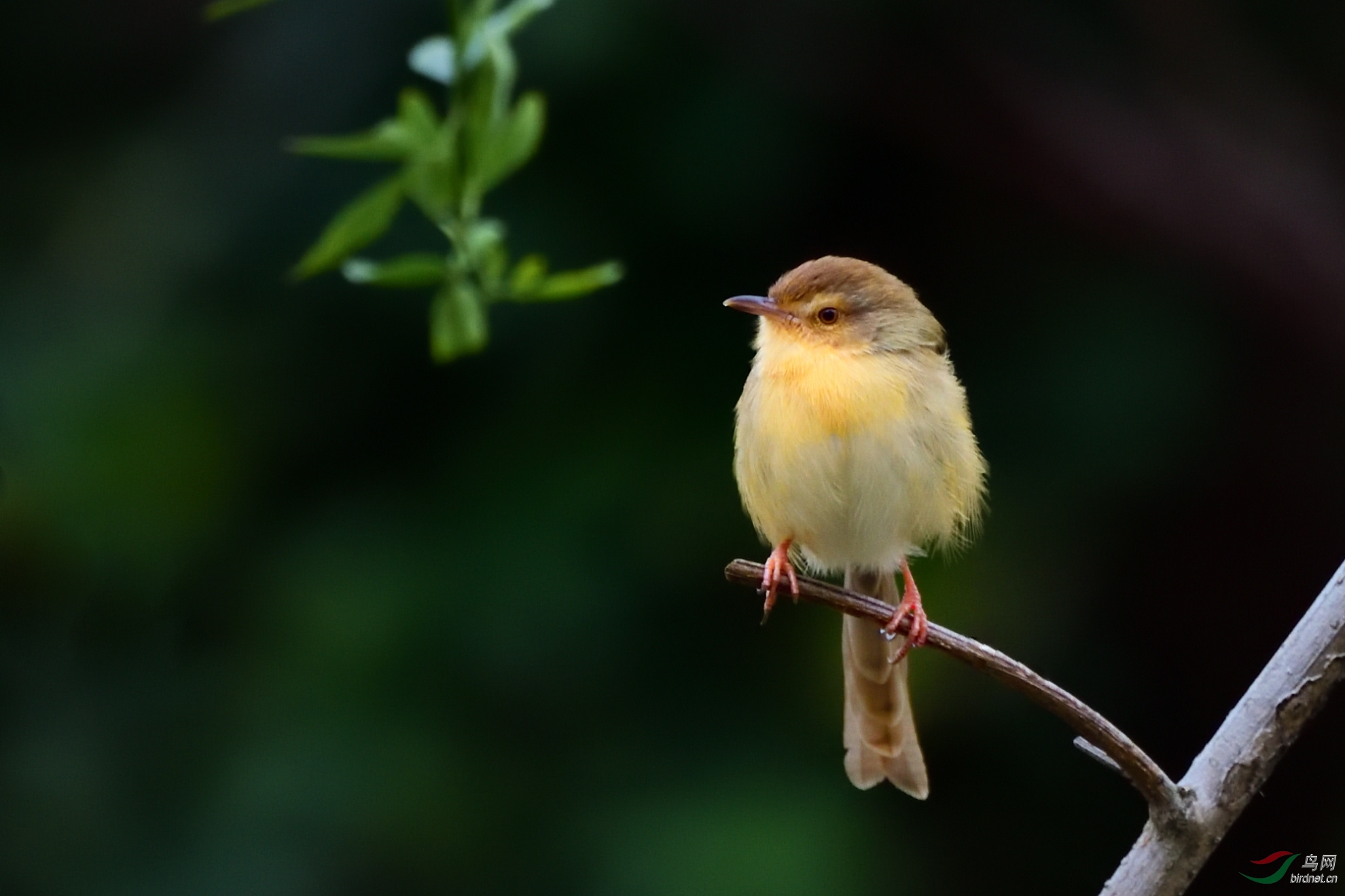 DSC_7944_00001.jpg