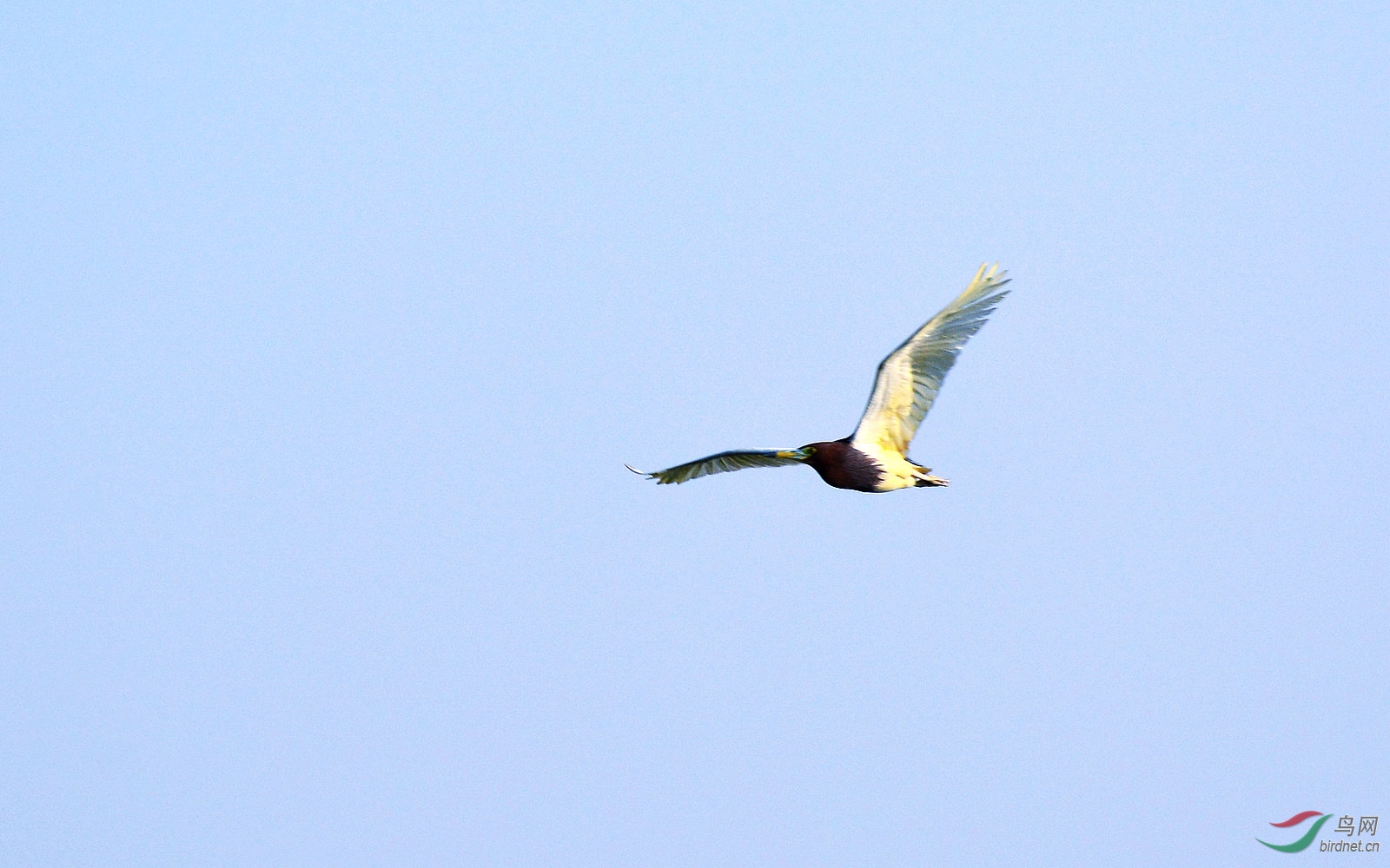 DSC_9517.JPG