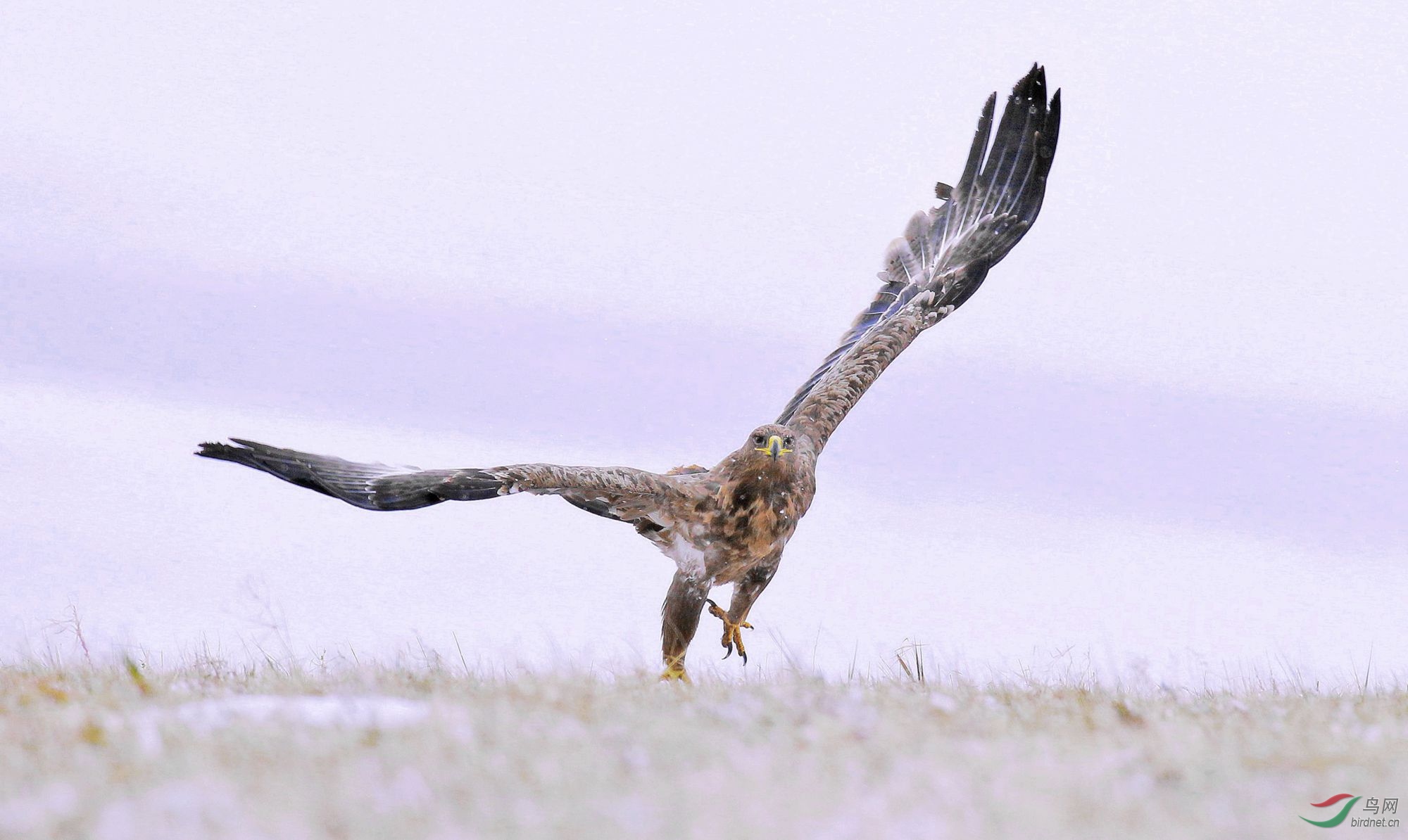 3000 (2) (1)_2000.jpg