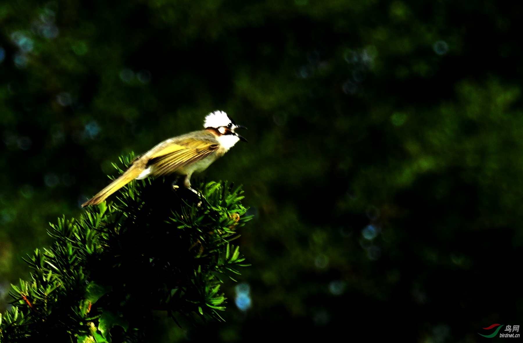DSCN2942.JPG