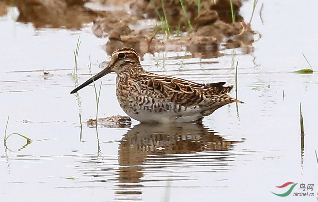 20200510EOS 7D Mark II1400-1_����.jpg