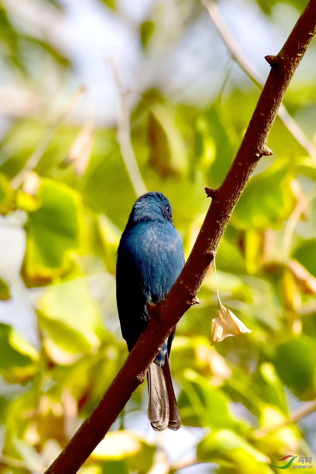 DSC_1095.JPG