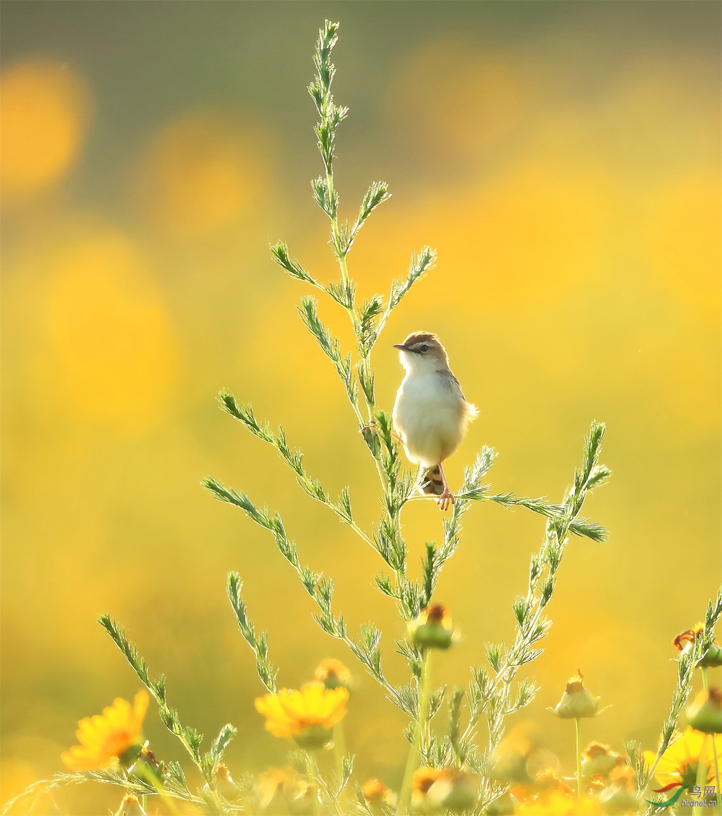 1 - ����.JPG