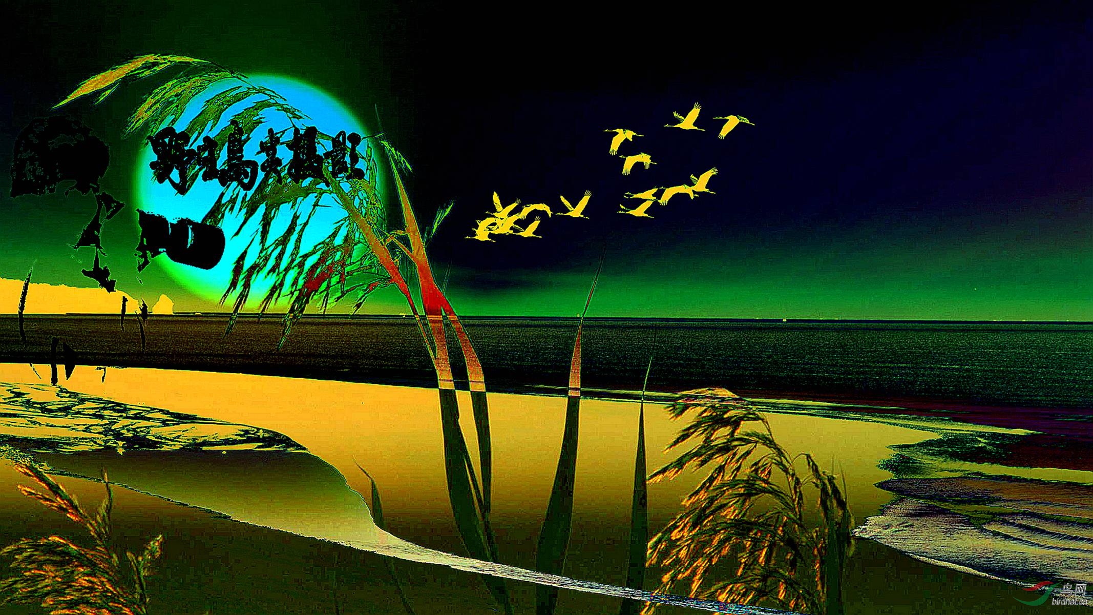 LYK_8543_���� ���� 5_����.jpg