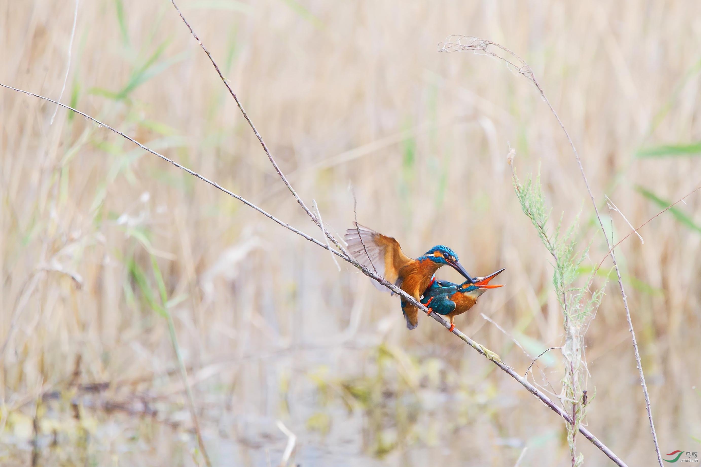 IMG_7634-3С (2).jpg