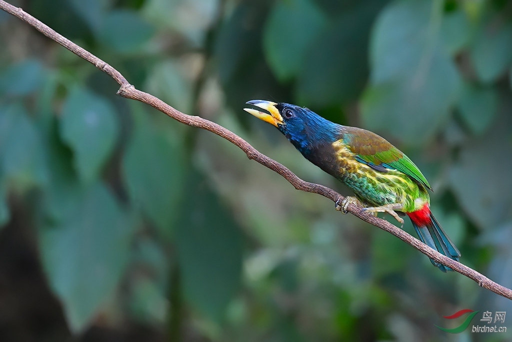DSC_8445_DxOa1.jpg
