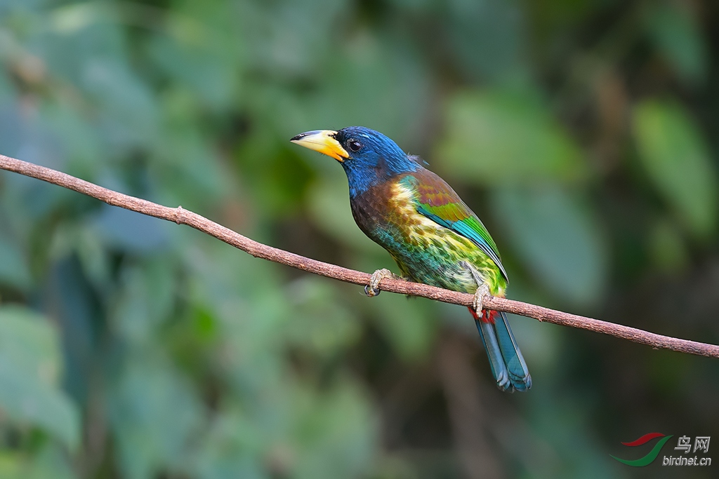 DSC_8385_DxOa.jpg