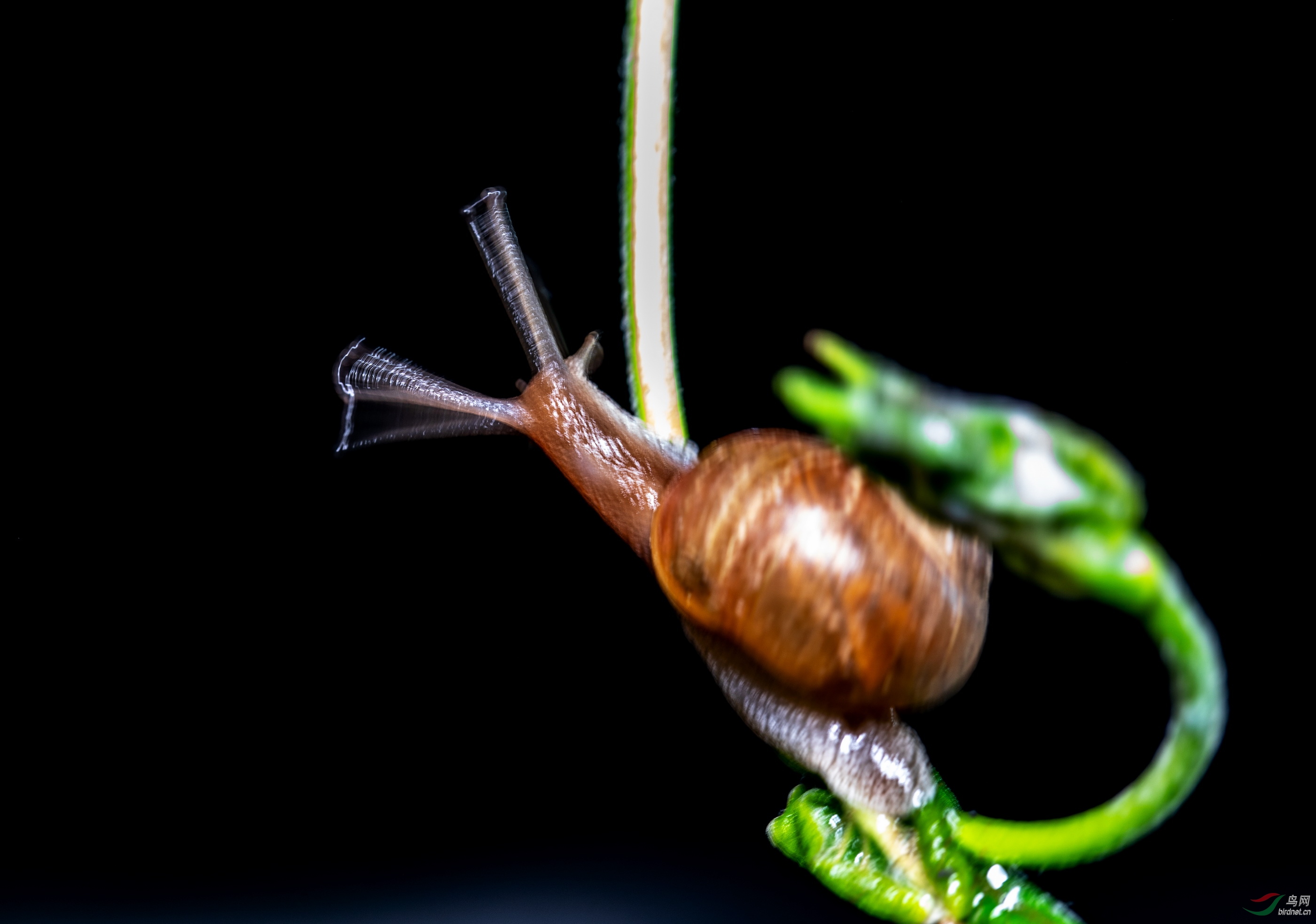 4H8A5330.jpg