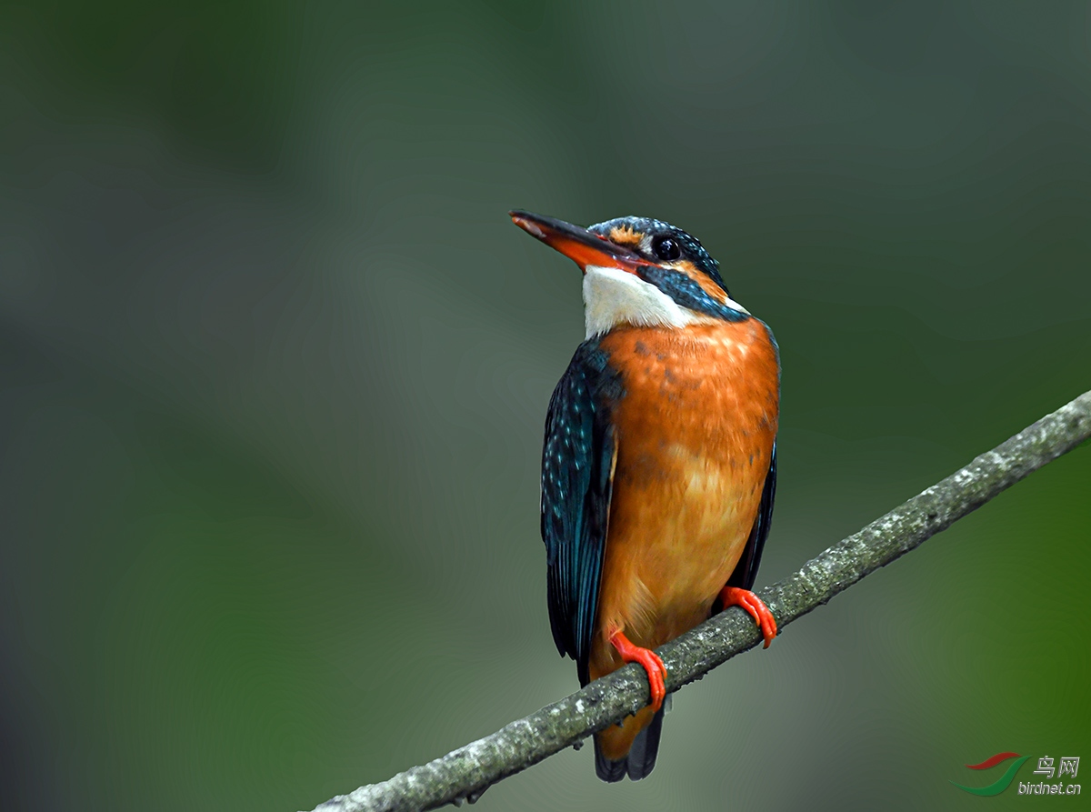 DSC_8928.jpg
