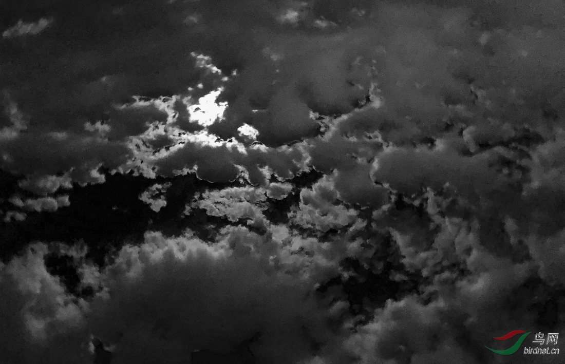 DSC_0000.jpg
