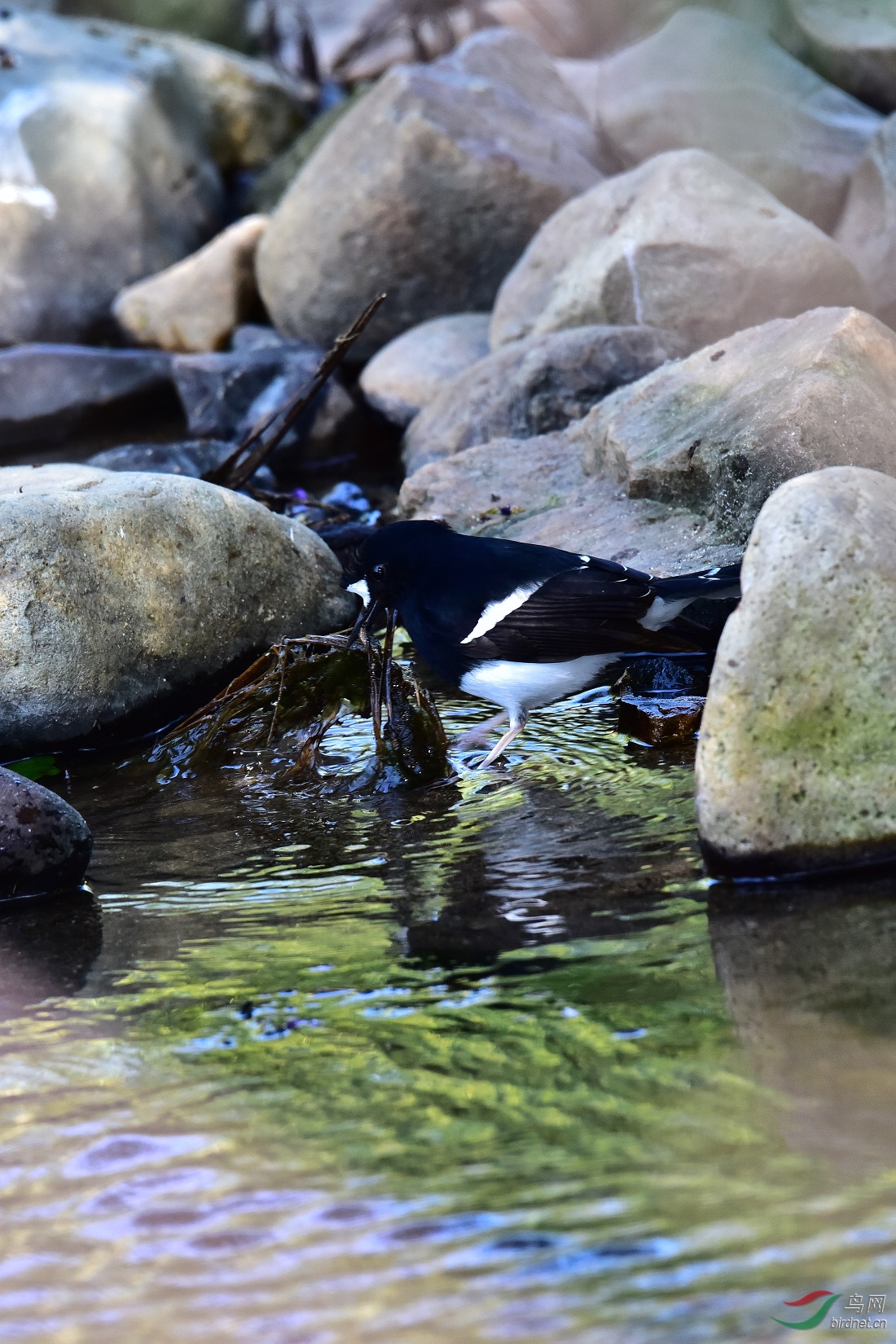 DSC_0008.JPG