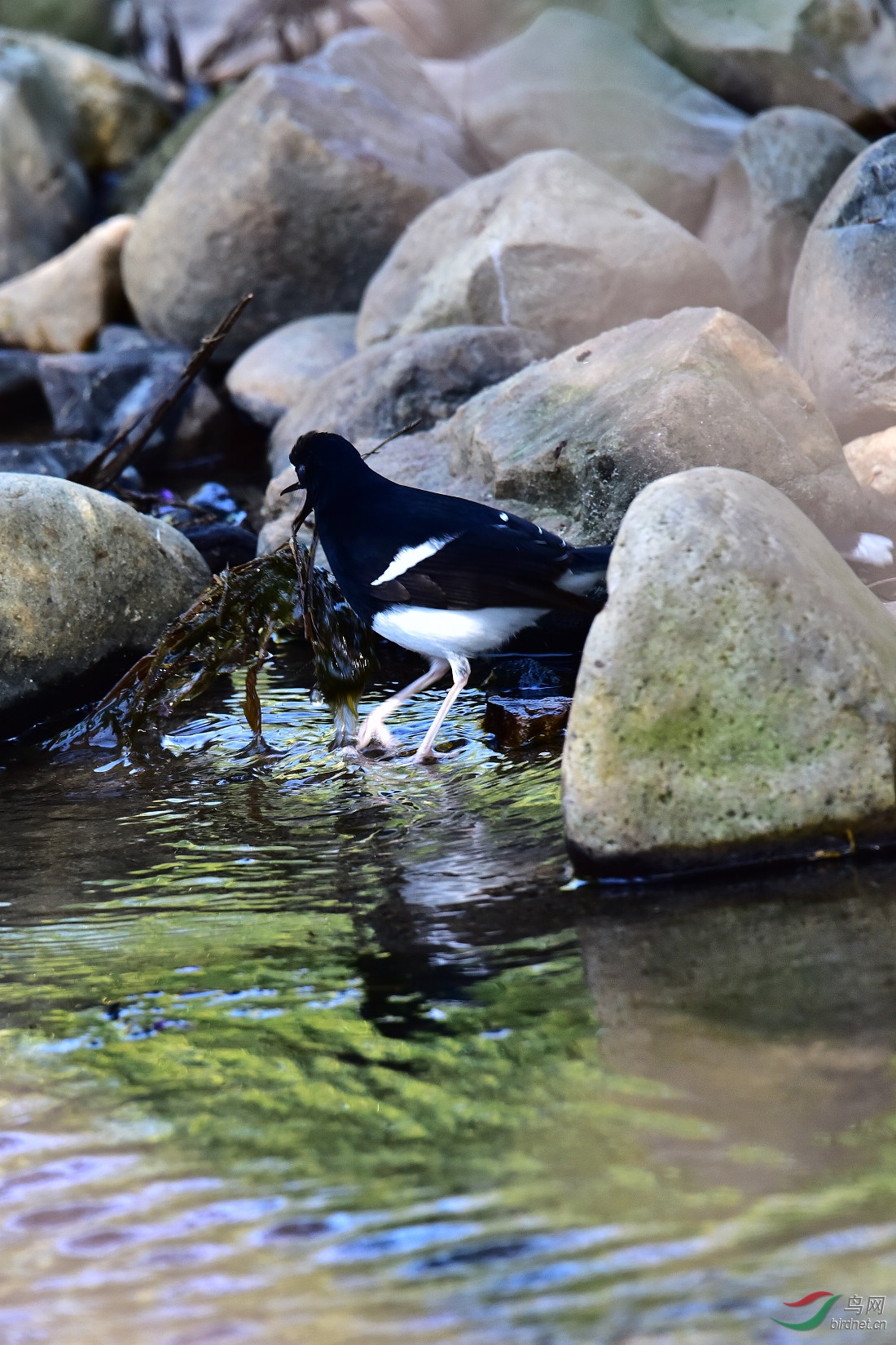 DSC_0009.JPG