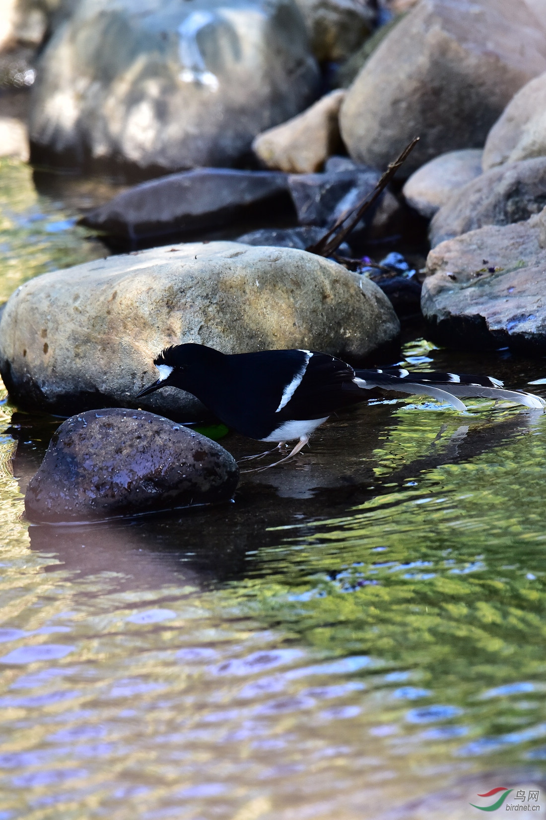 DSC_0015.JPG