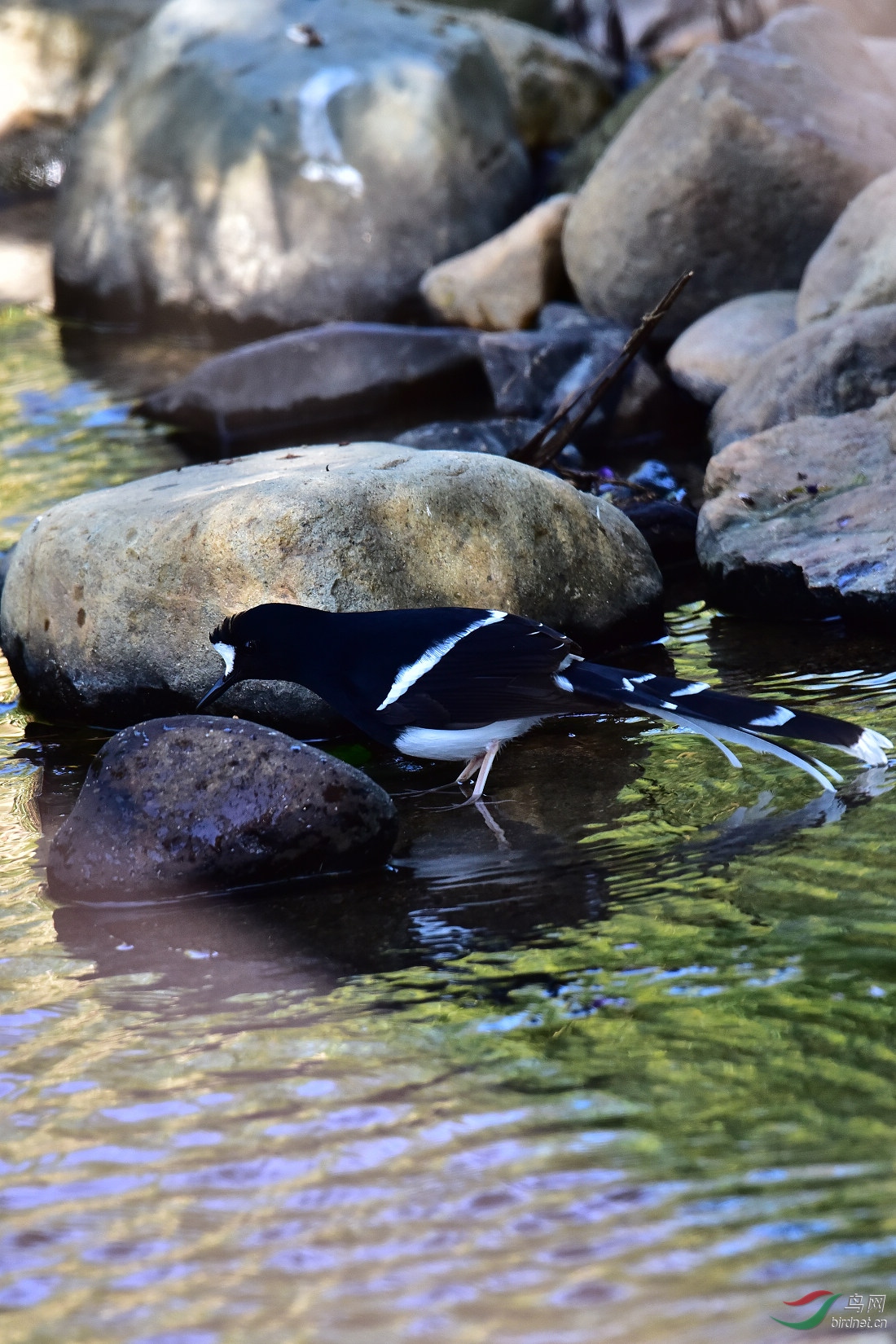 DSC_0017.JPG