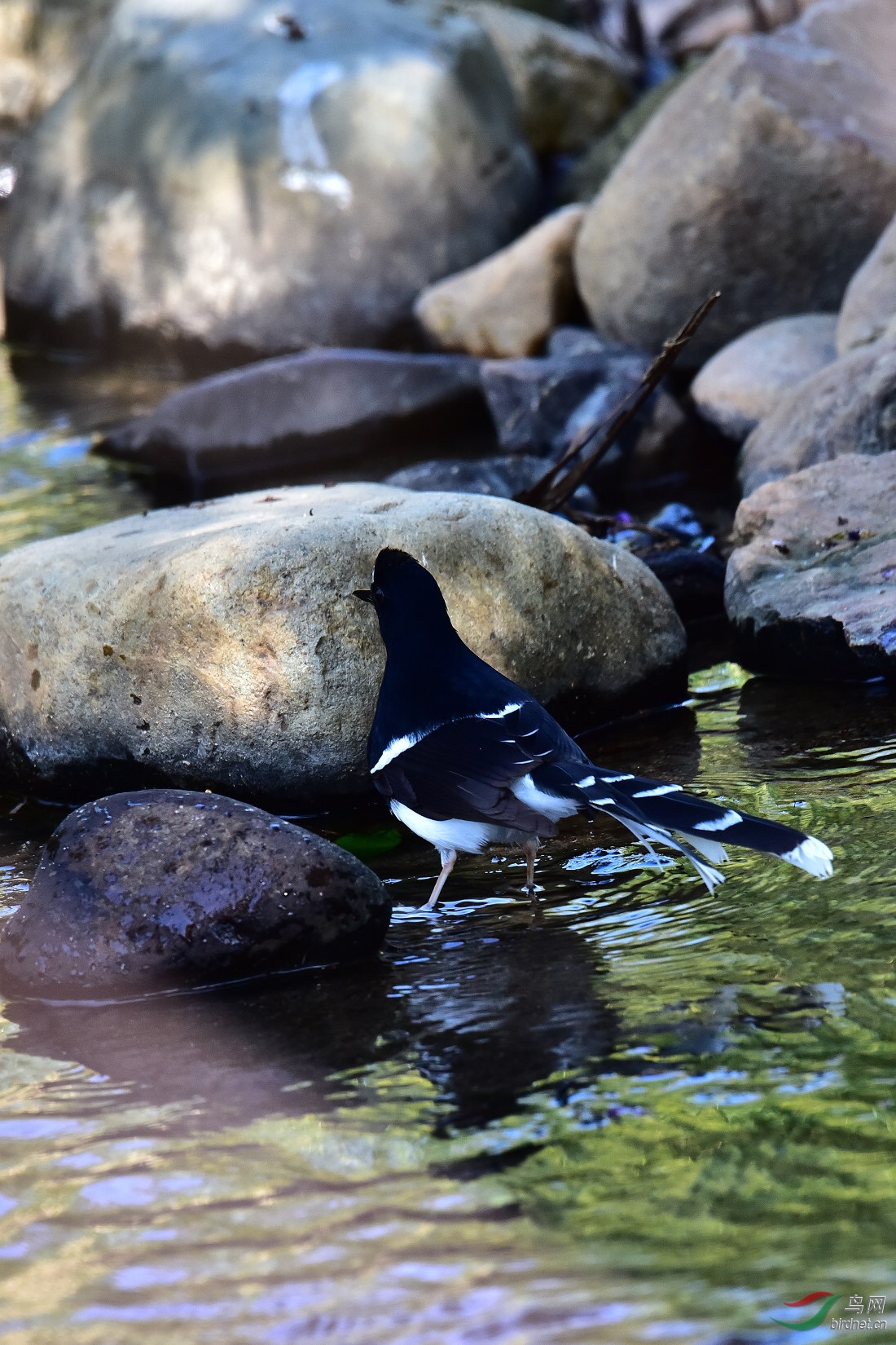 DSC_0019.JPG
