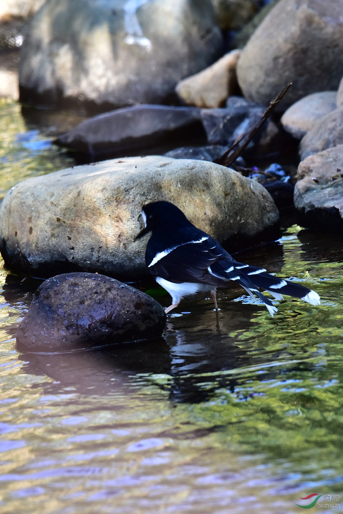 DSC_0020.JPG