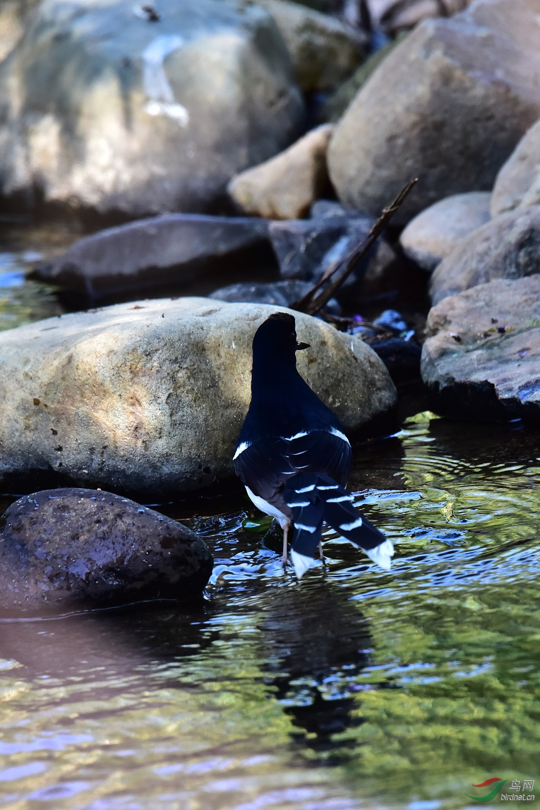 DSC_0023.JPG