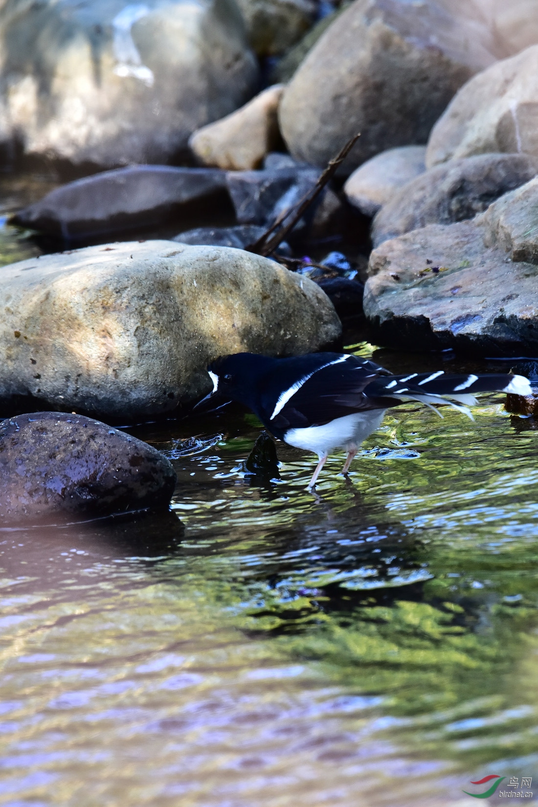 DSC_0024.JPG
