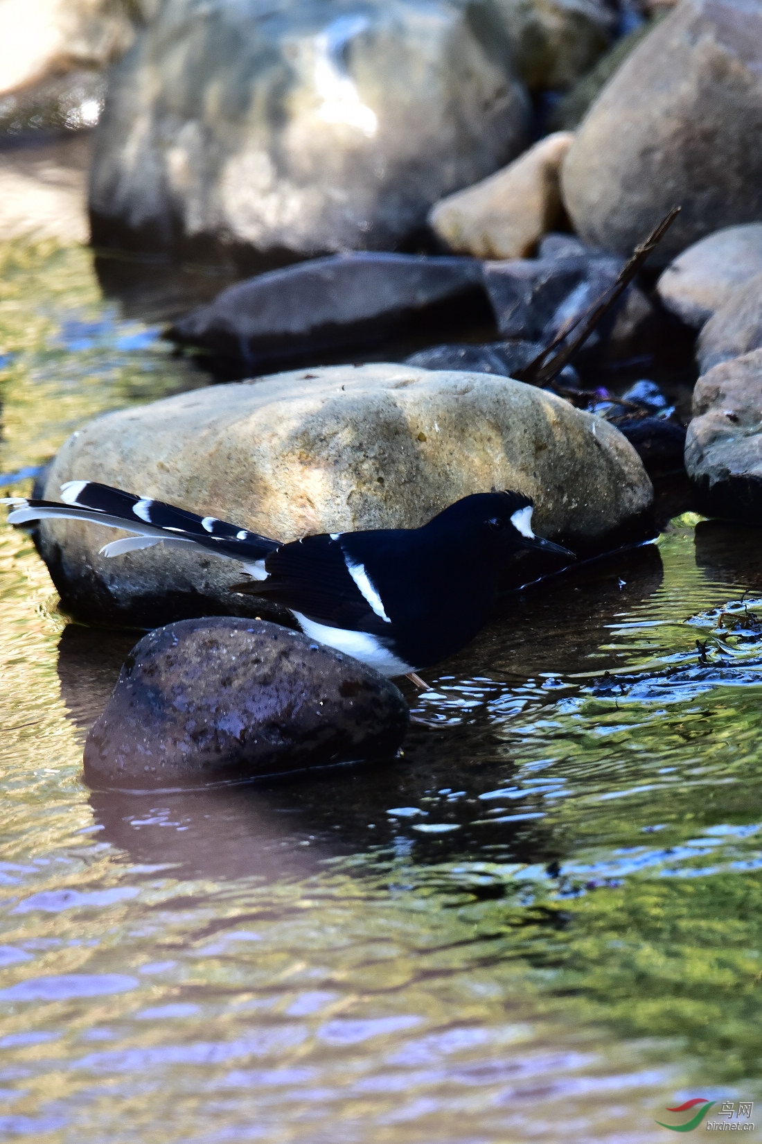 DSC_0030.JPG