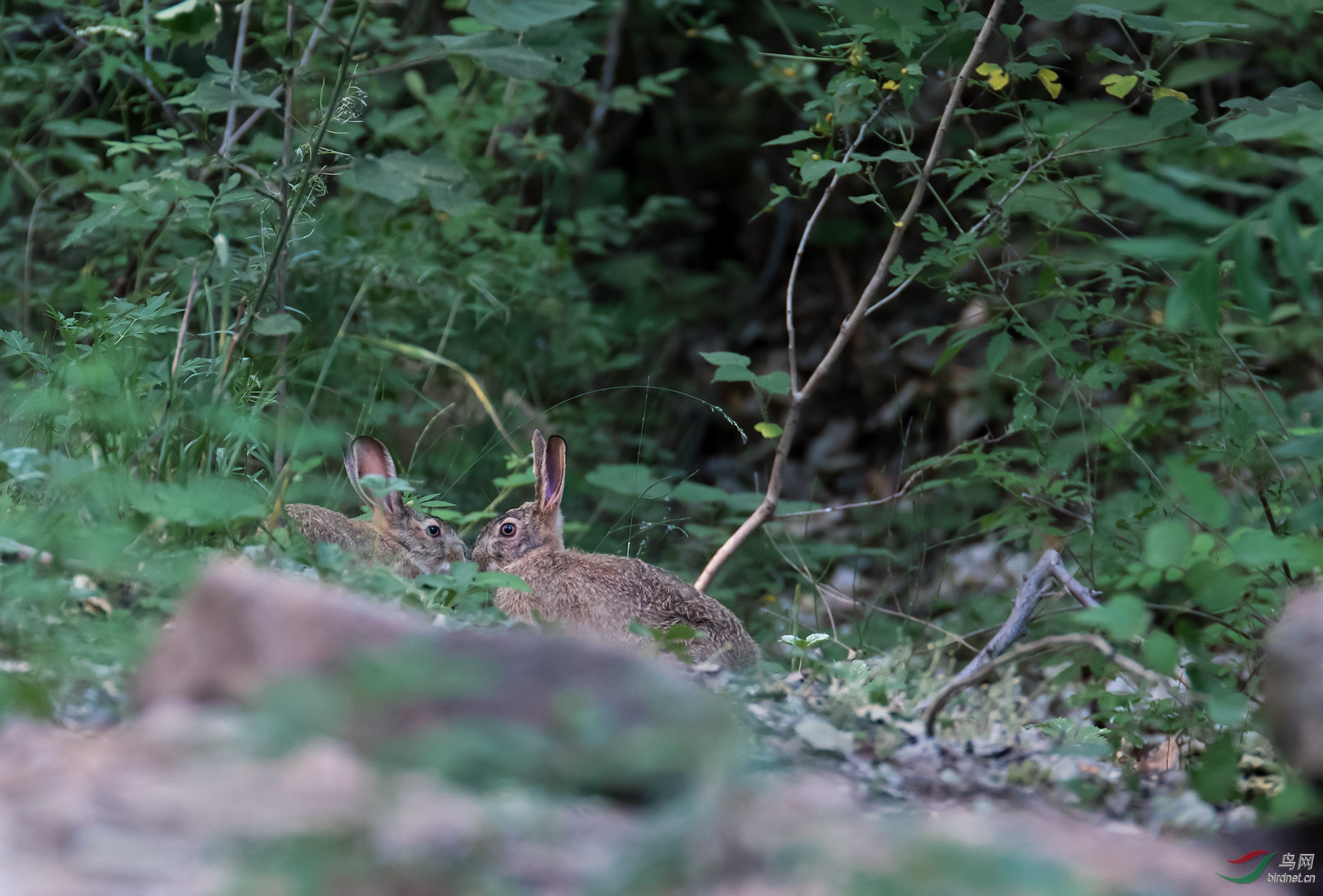 DSC_6698.jpg