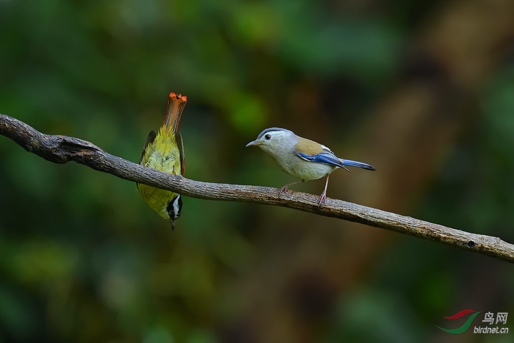 DSC_4376_DxOa1.jpg