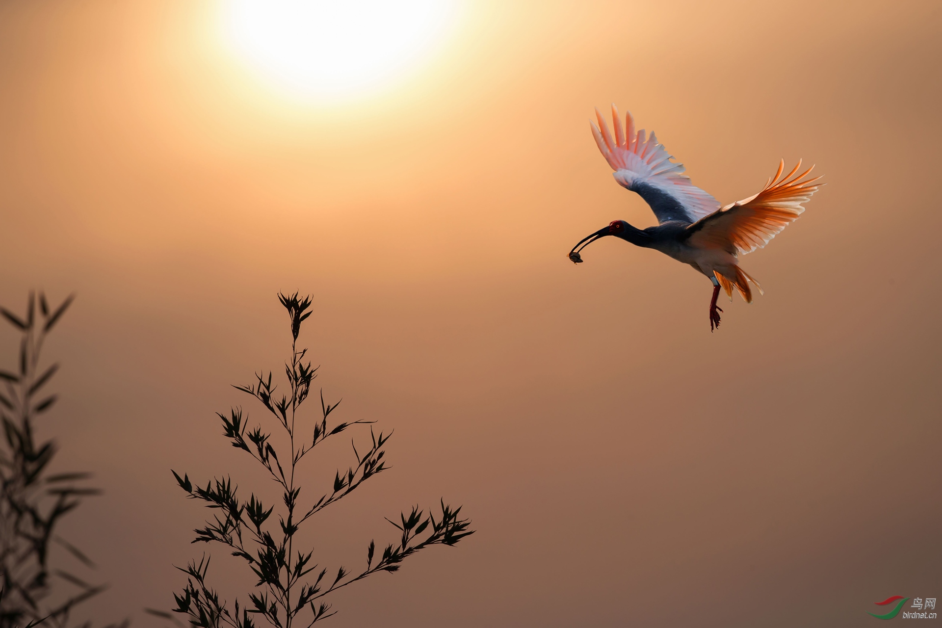 _60O0480.jpg