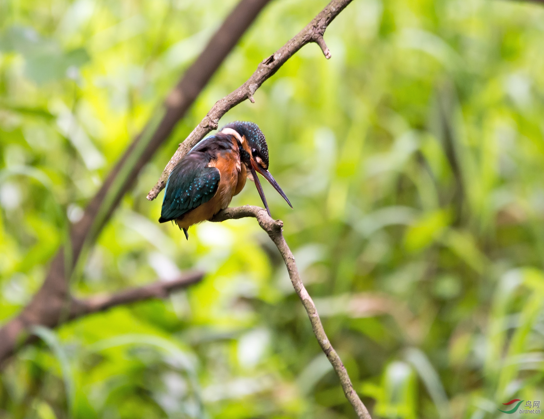 DSC_6053.jpg