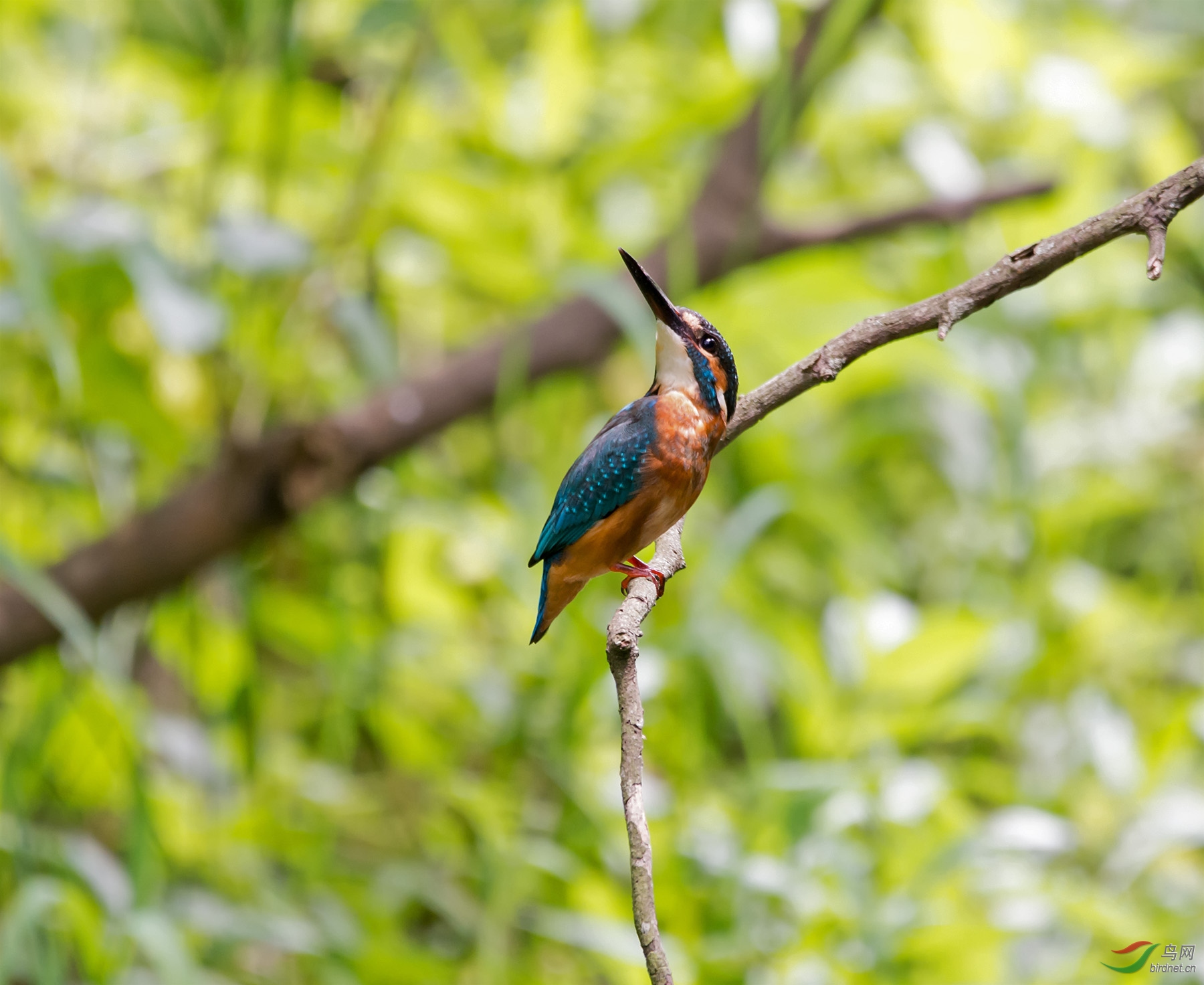DSC_6127.jpg
