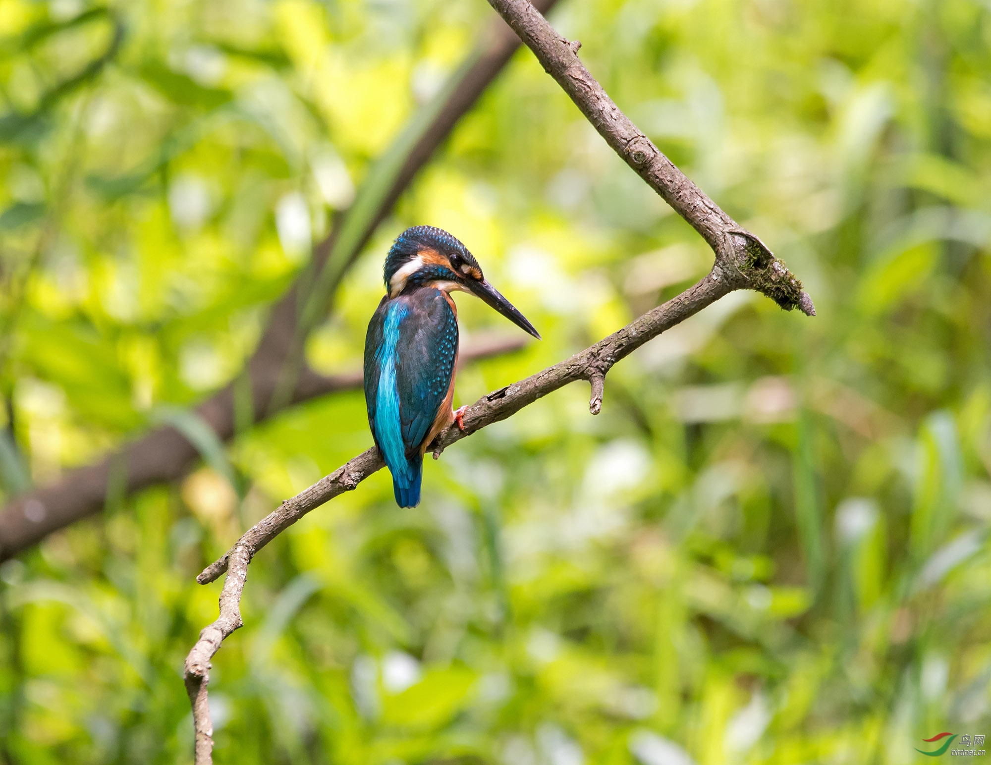DSC_6109.jpg