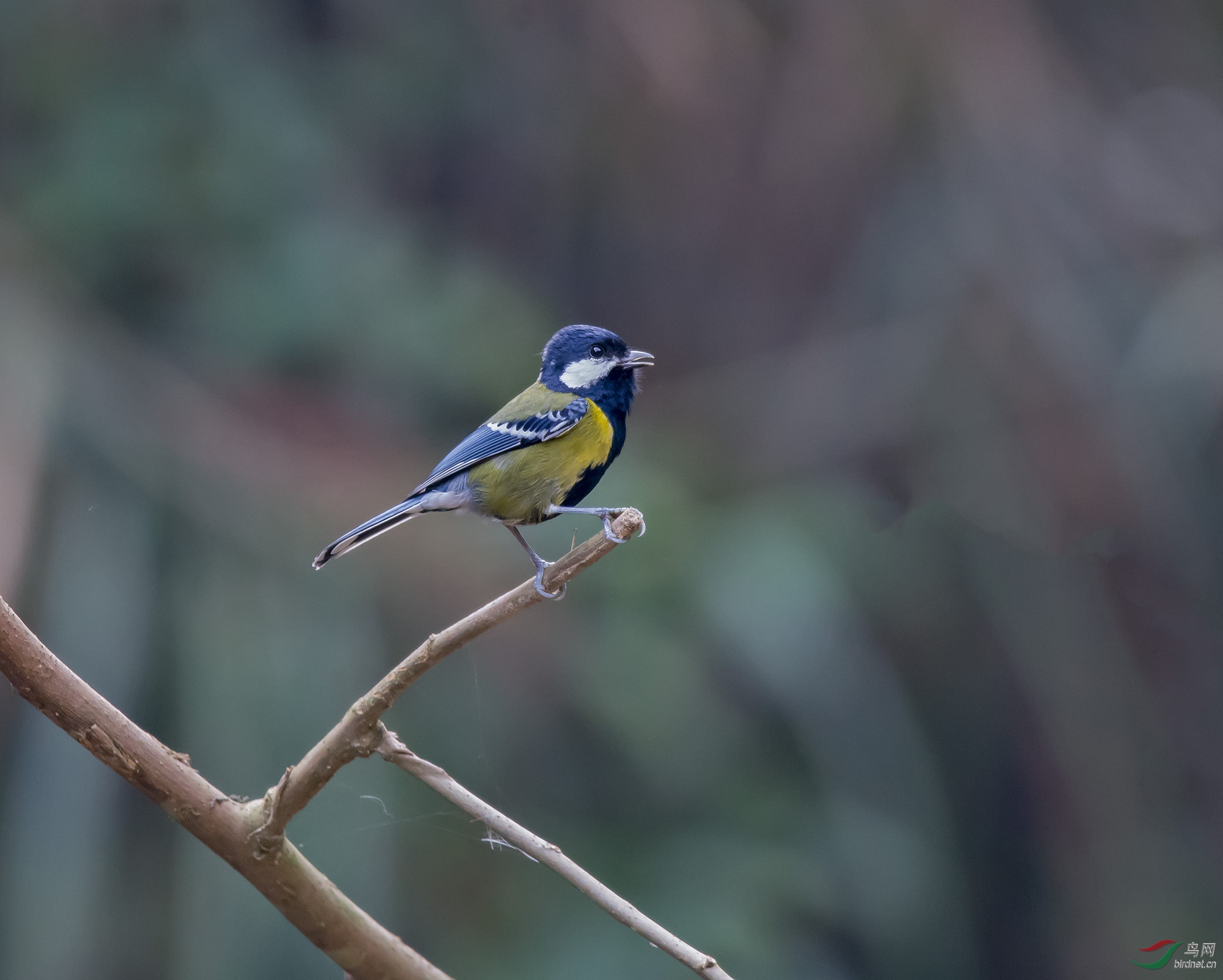 DSC_7502.jpg