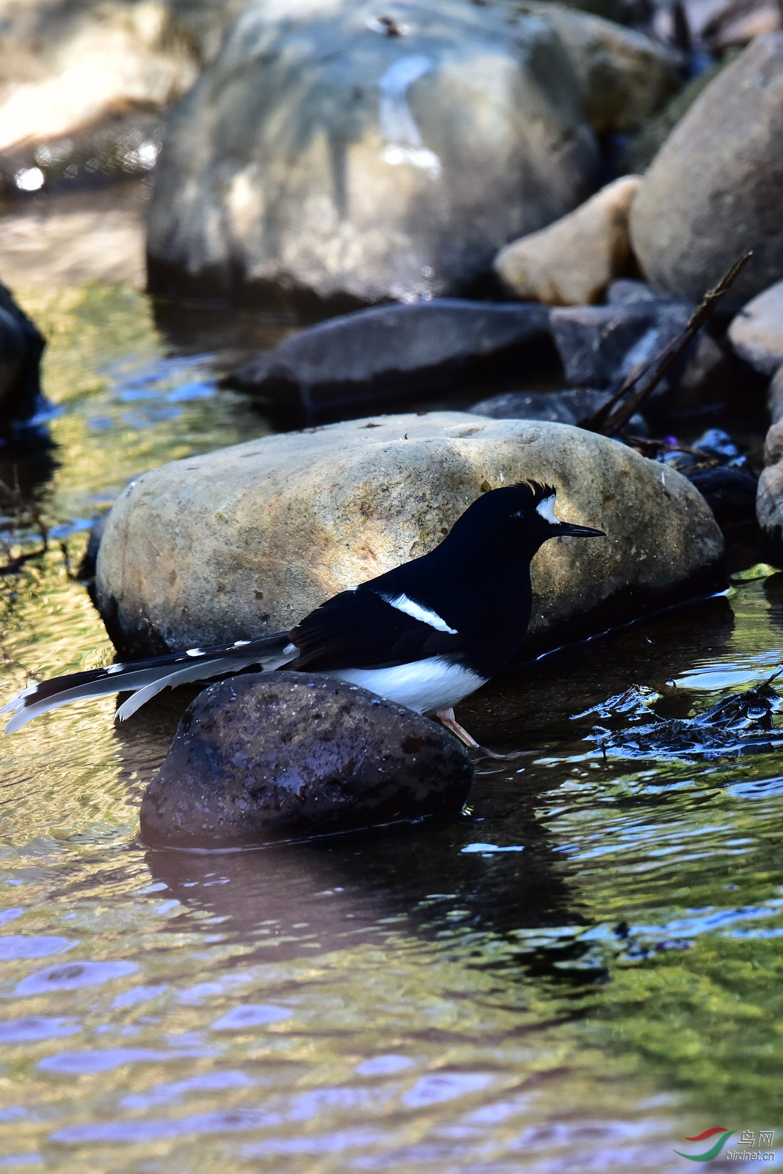 DSC_0033.JPG