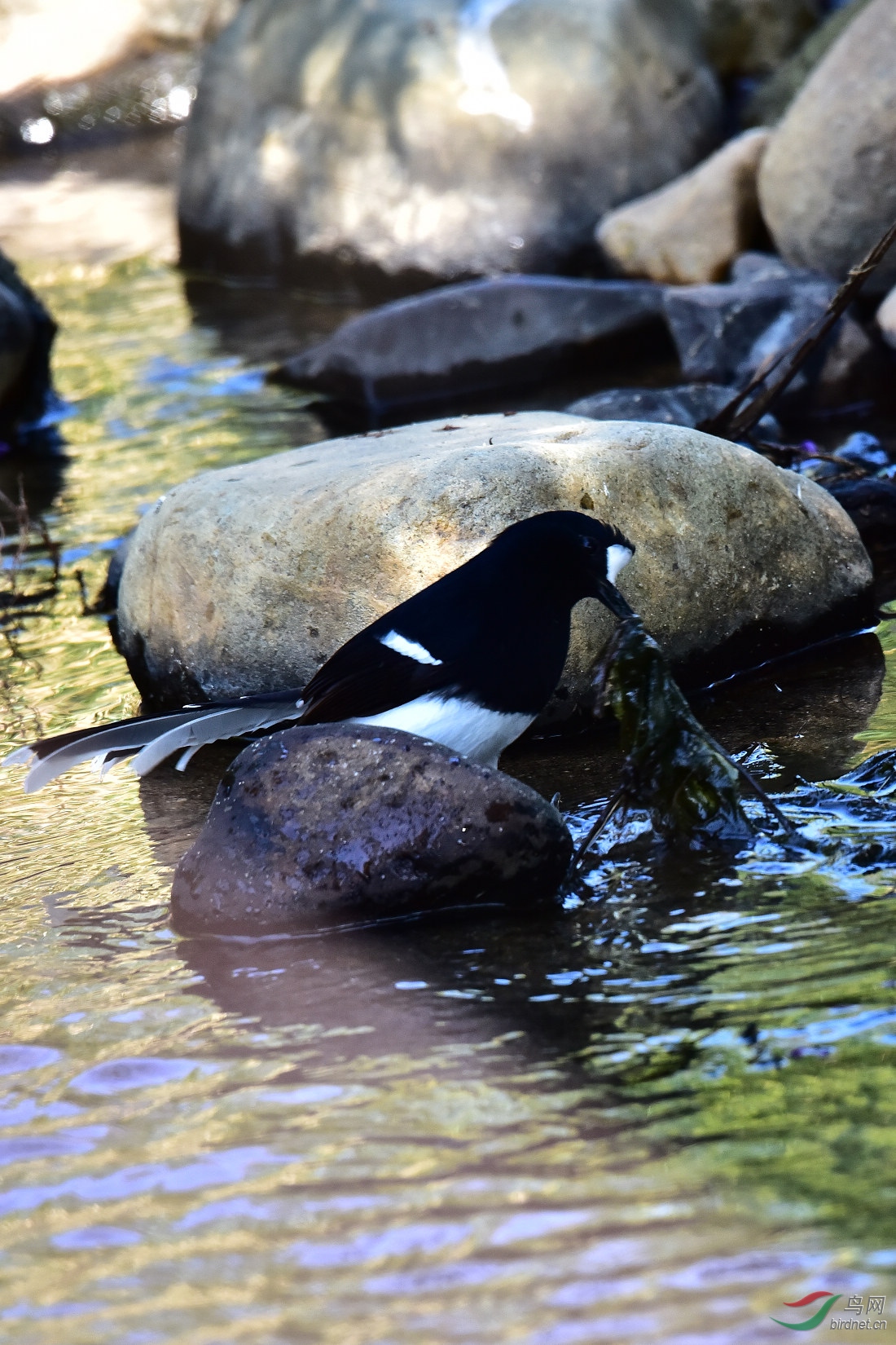 DSC_0034.JPG