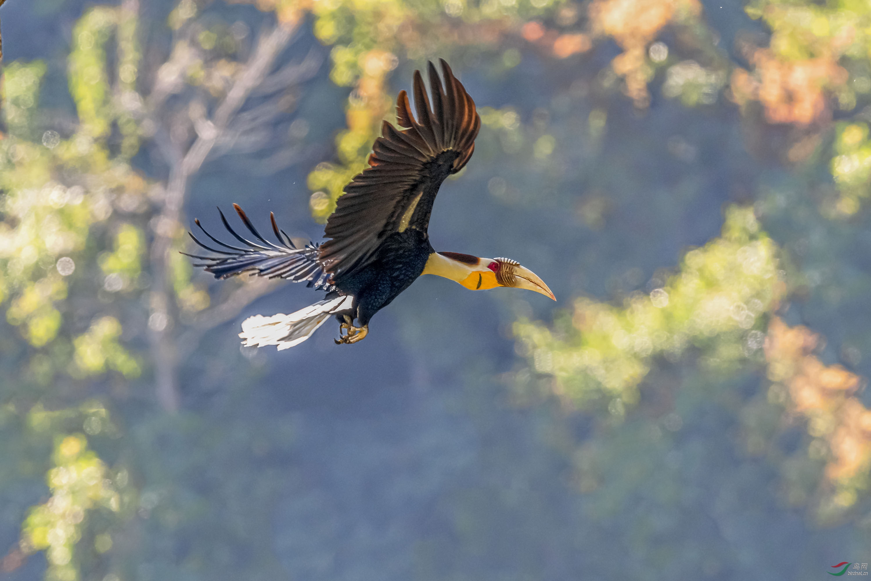 _DSC2345-1.jpg