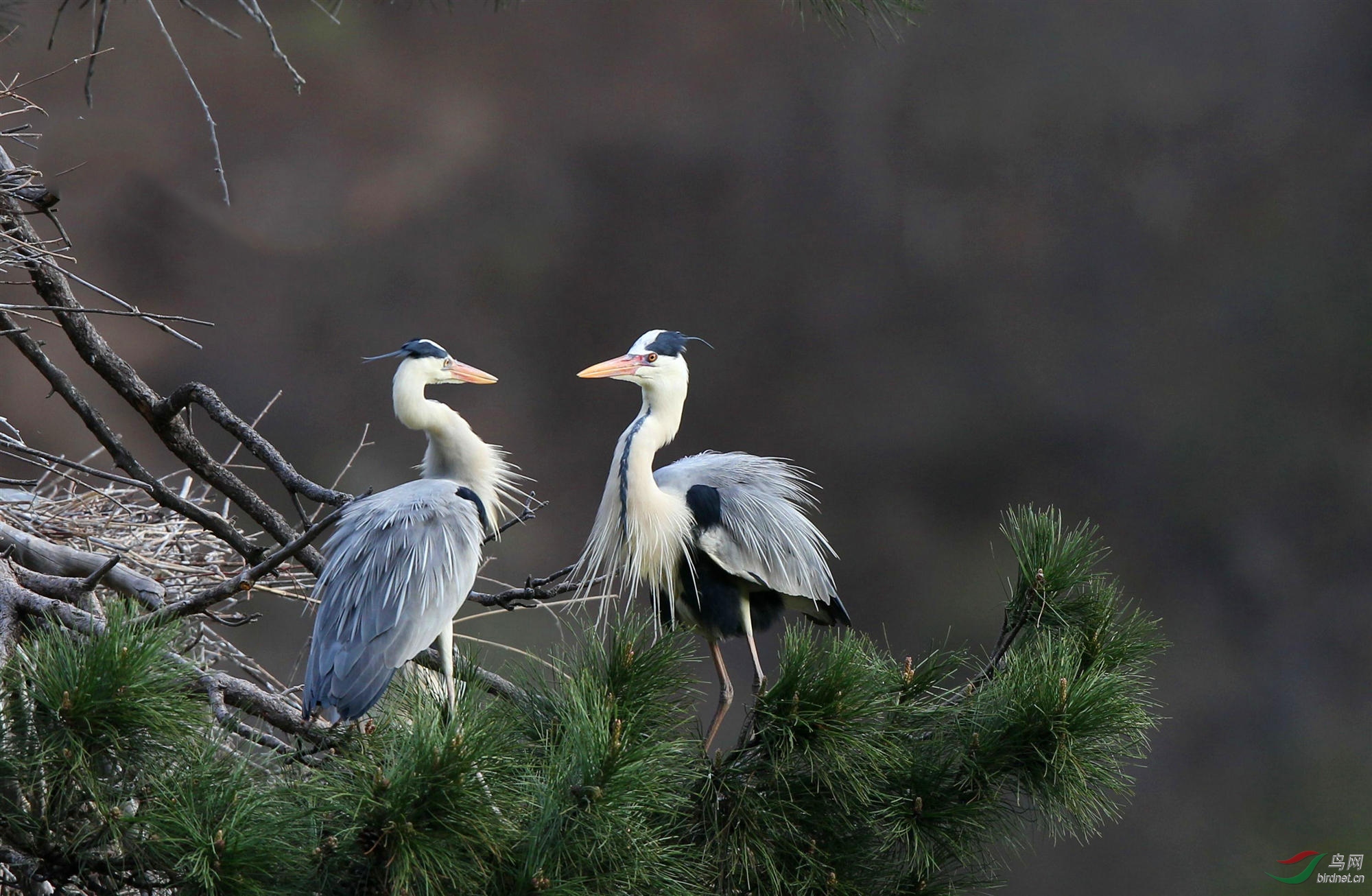 H46R7711_����_���� (2).jpg