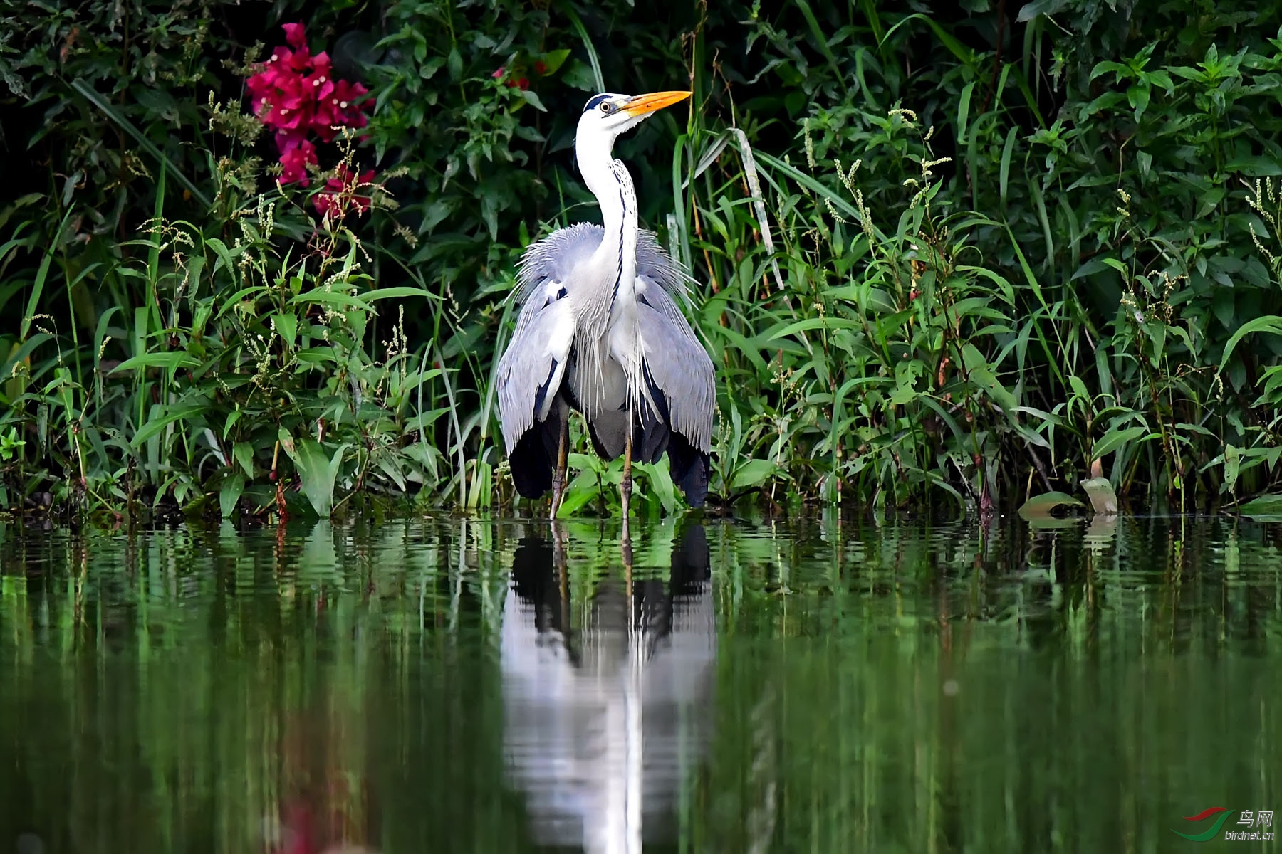 DSC_9767.jpg