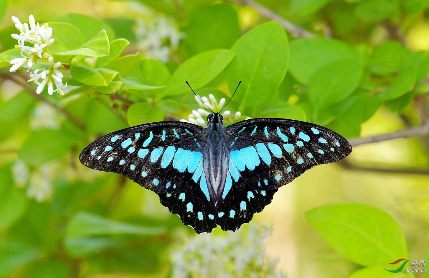 DSC_3379.jpg