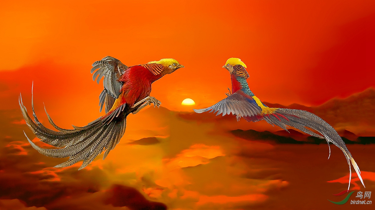 forum (2)_����_����_����.jpg