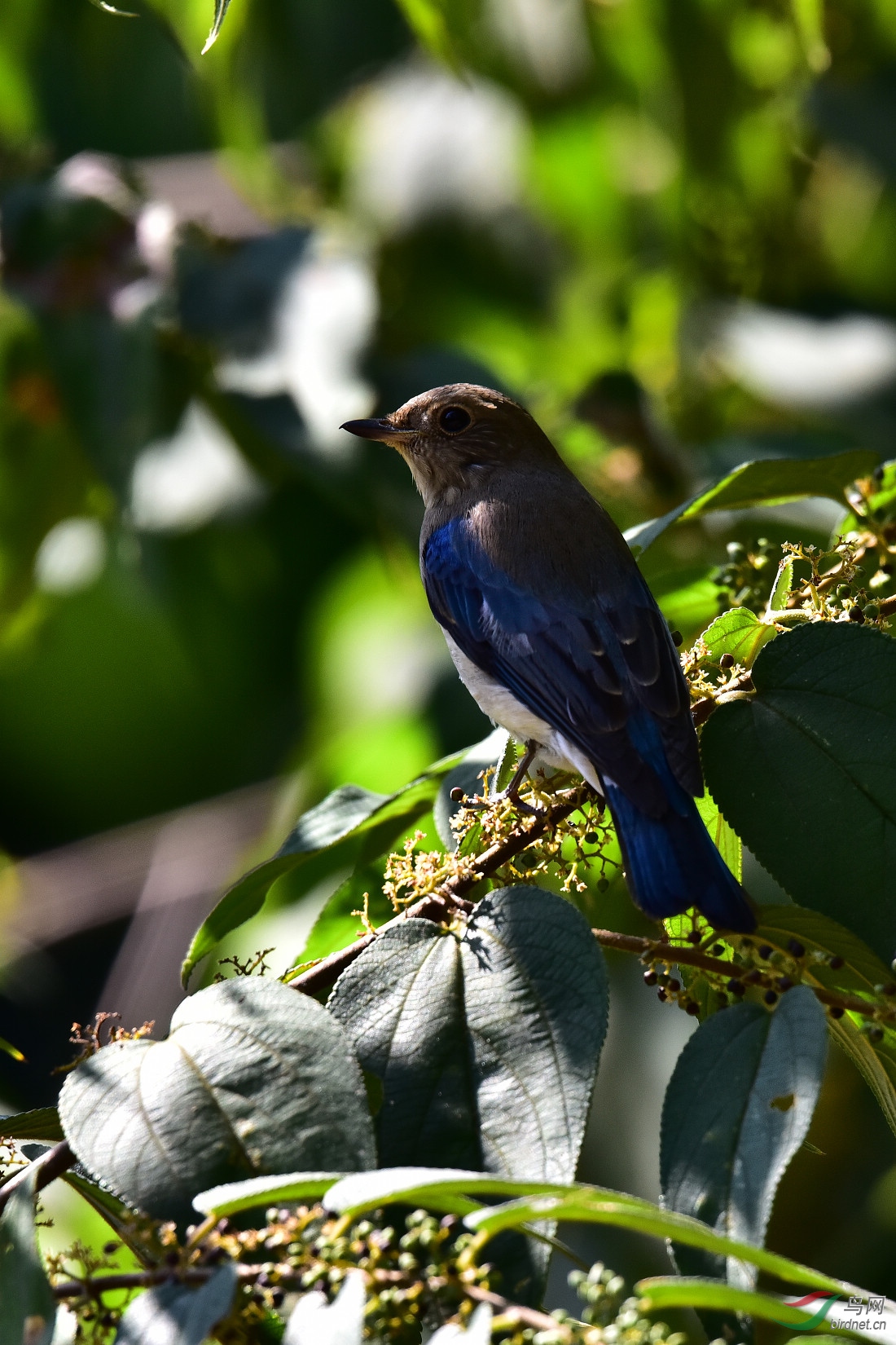 DSC_1120.JPG