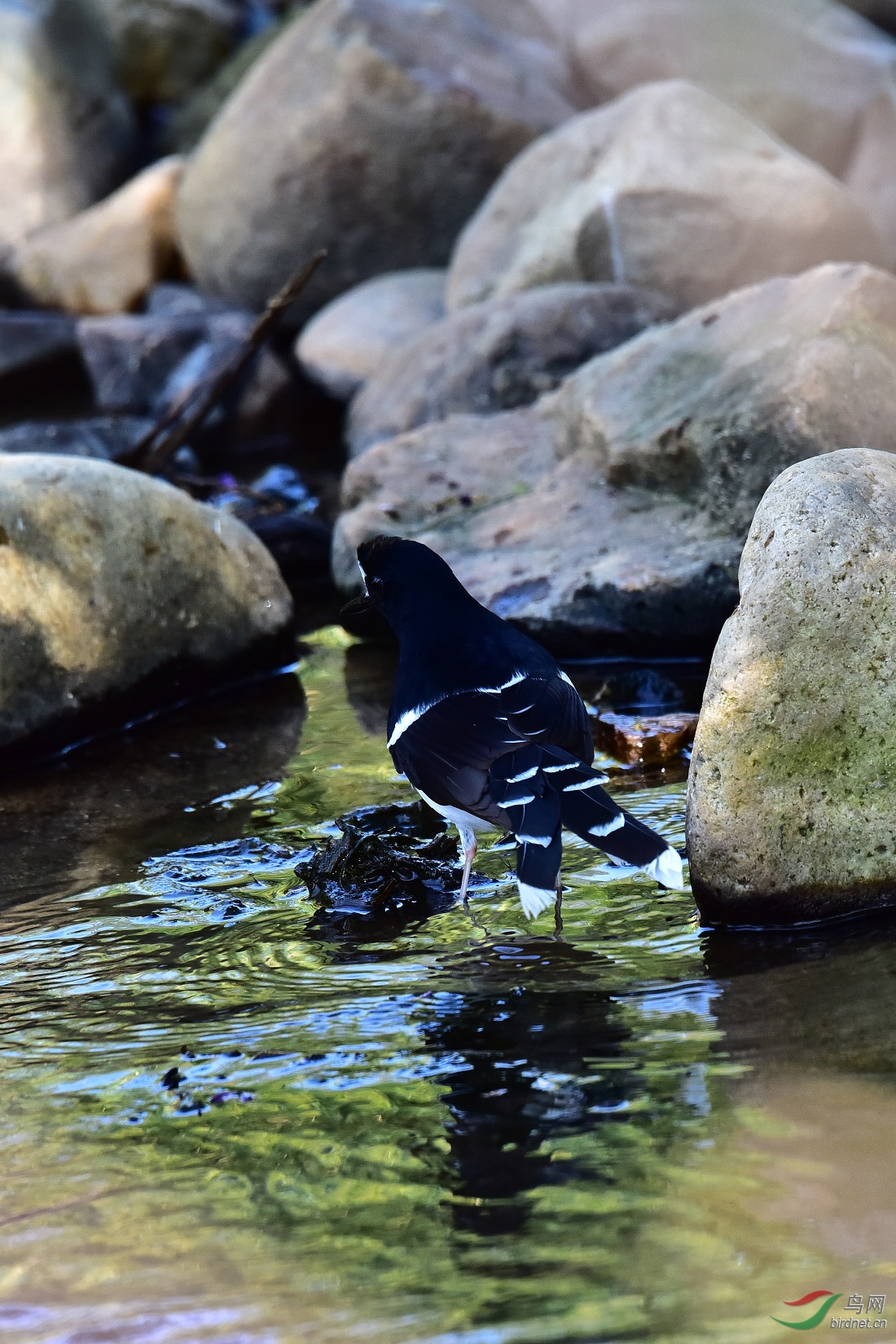 DSC_0039.JPG