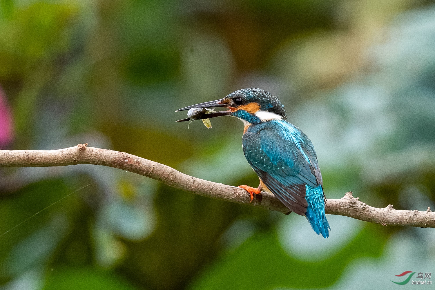 IMG_0814_DxO.jpg