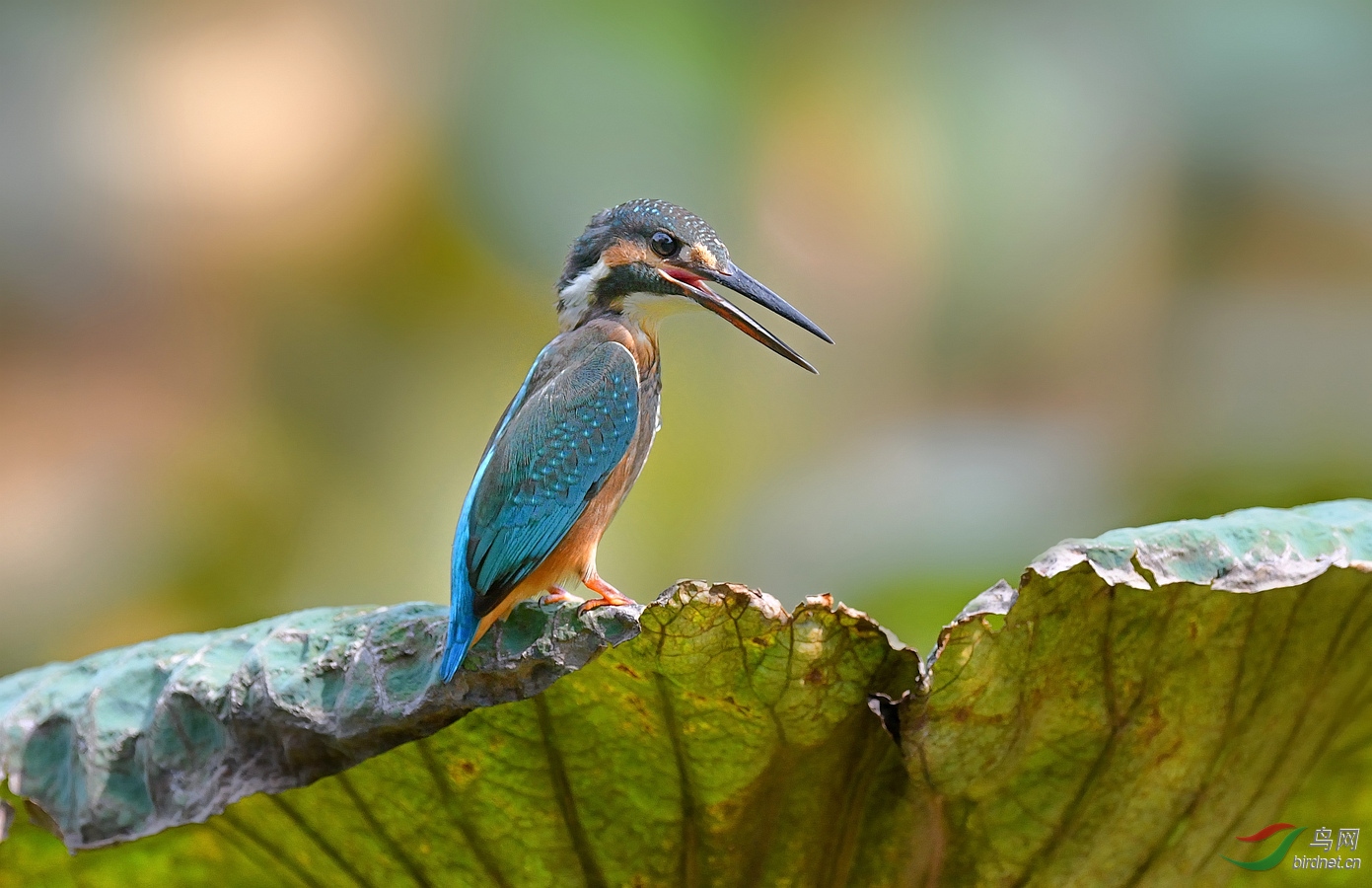 DSC_8272.jpg