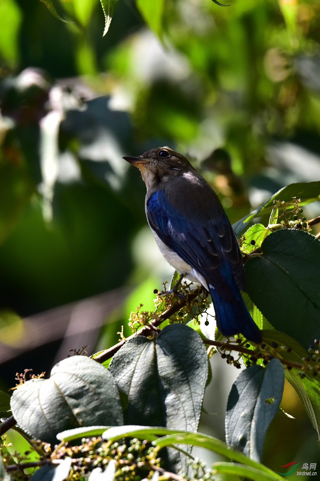 DSC_1121.JPG