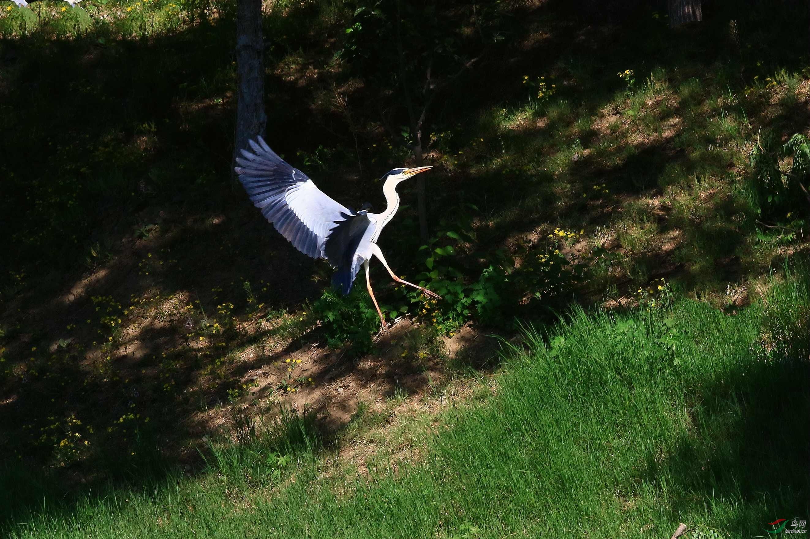 IMG_5329.JPG