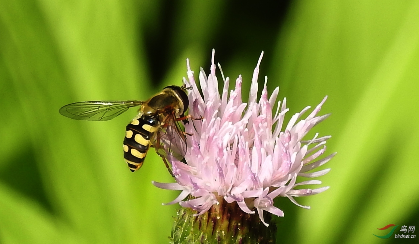 DSCN3626.JPG