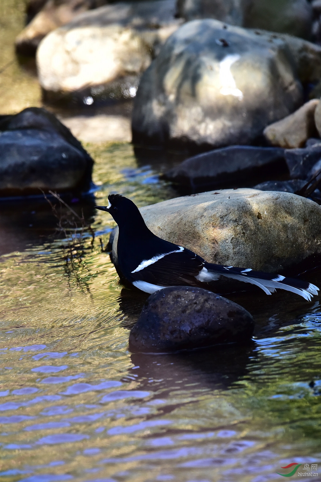 DSC_0044.JPG